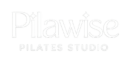 Pilawise